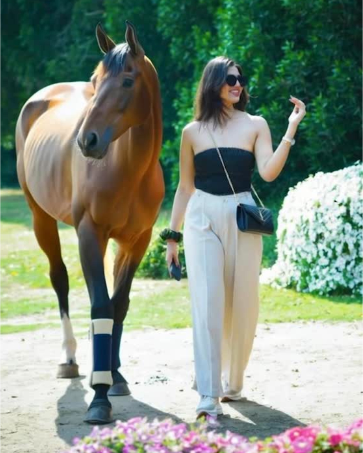 brand agency north india-avatar